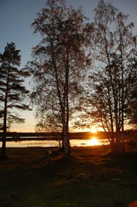 Skogshyltasjön