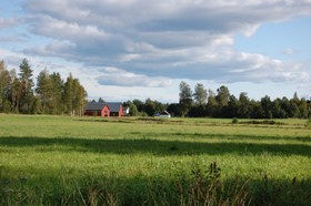 Landschaft