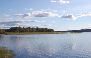 Skogshyltasjön