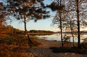 Skogshyltasjön