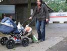 Erwin schiebt den Kinderwagen. Bitte klicken, um das Bild zu vergrößern!