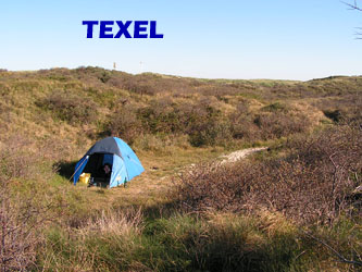 Texel
